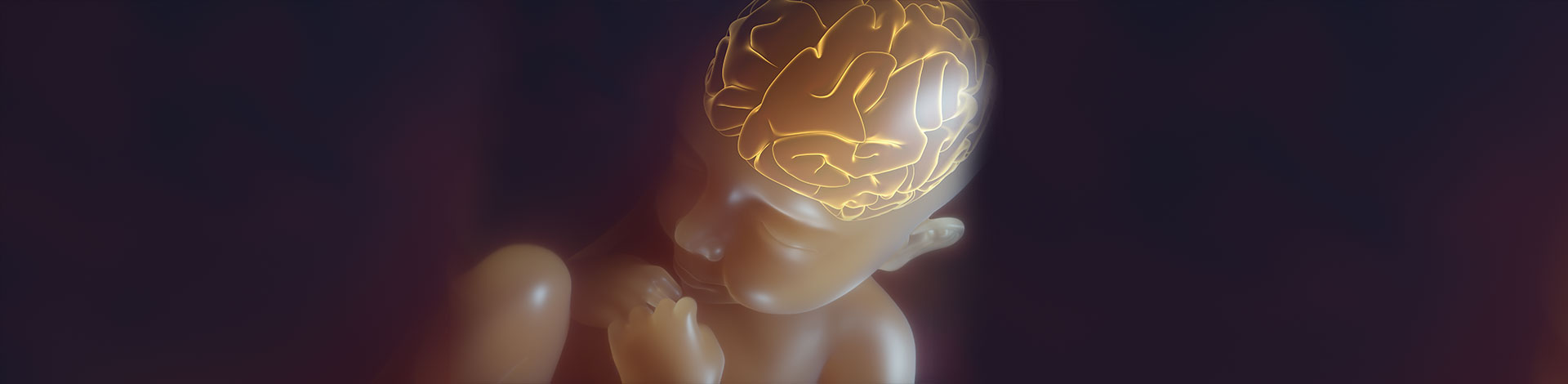 3D Fetal Neurosonography – recording