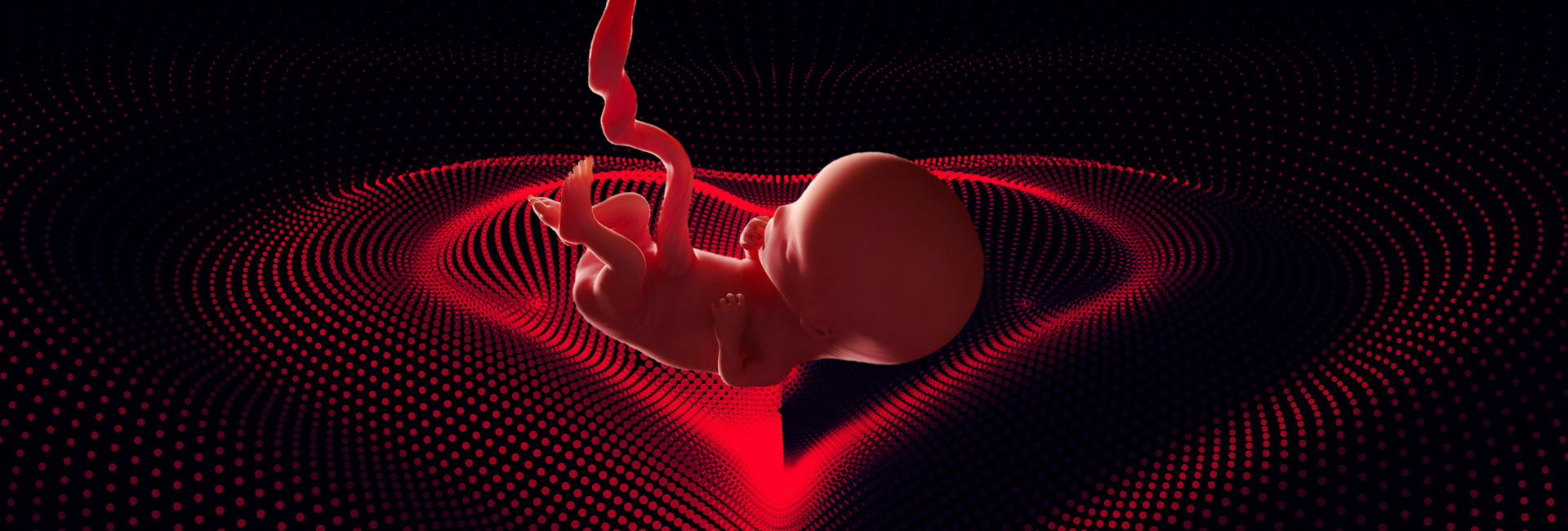 IN PERSON: Fetal Echo at First Trimester – EFS Conference