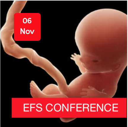 The 4th Early Fetal Scan Conference: 222 Anomalies & Conditions